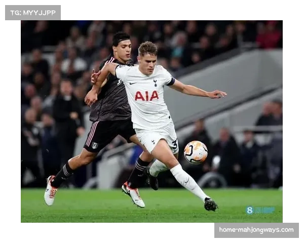 热刺伤病名单增至12人 范德芬停赛罗梅罗伤缺防线告急